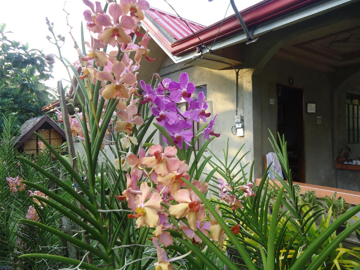 Lhoyjean Garden Hostel Batuan Екстер'єр фото